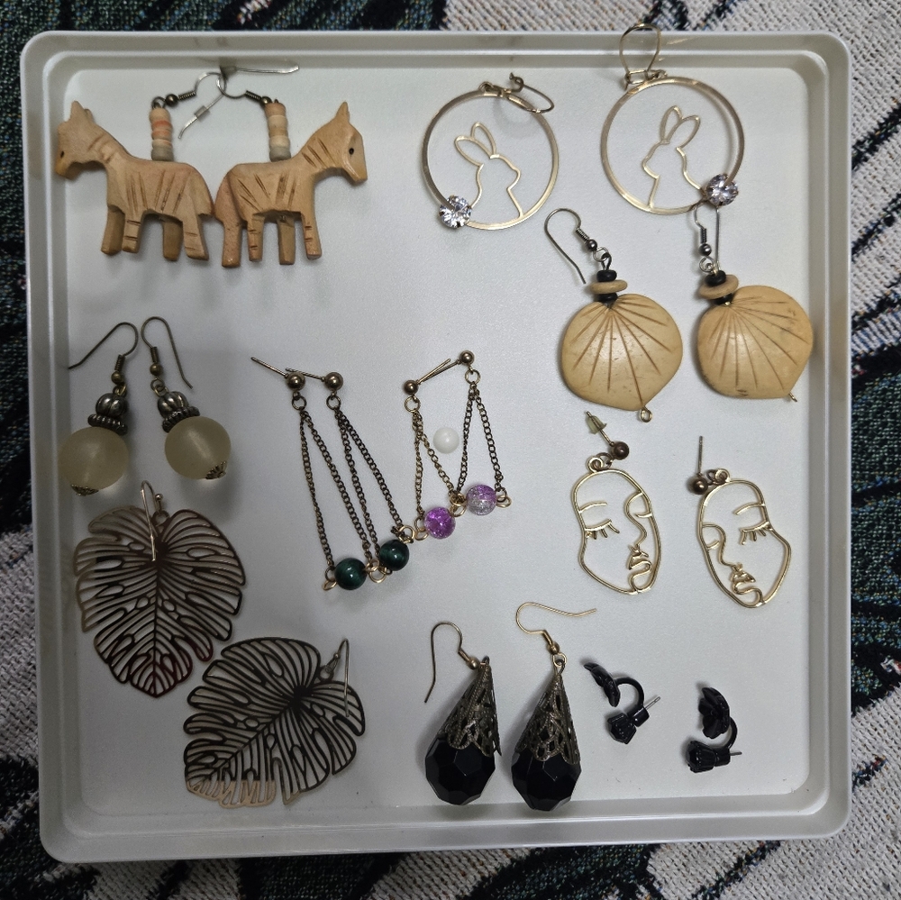 Assorted Earring Lot - image 1